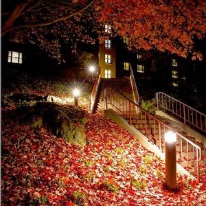 Meet your Posher, Ebony